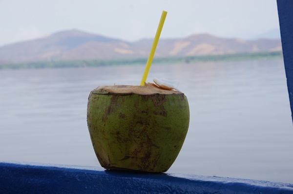 Słynna ze scenerii filmowych Laguna Coyuca
