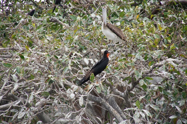 Słynna ze scenerii filmowych Laguna Coyuca
