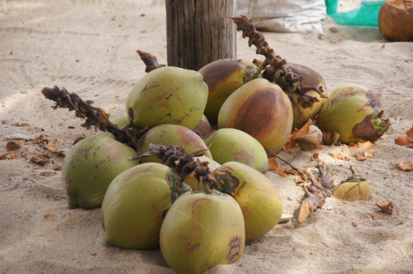 Słynna ze scenerii filmowych Laguna Coyuca
