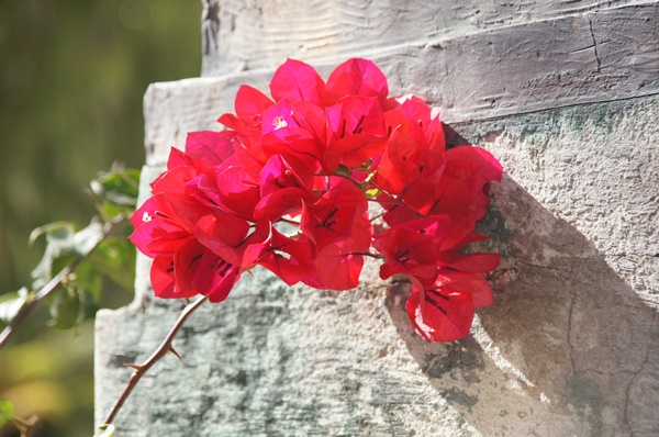 Taxco  - miasto srebra
