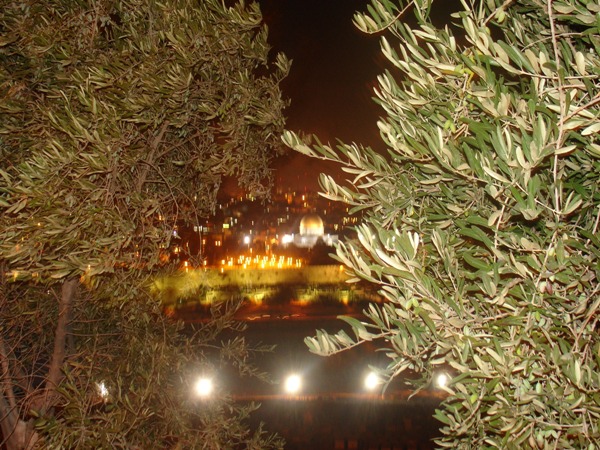 Jeruzalem nocą - widok z hotelu
Mieszkaliśmy na Górze Oliwnej
